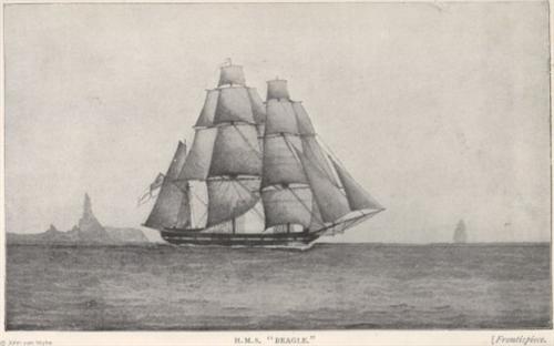 El Día de Darwin